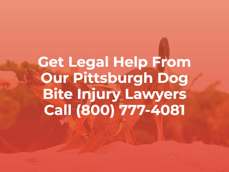 get legal help from our Pittsburgh dog bite injury lawyers